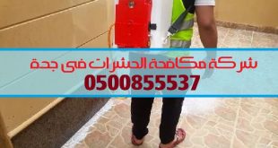 شركة مكافحة الحشرات بجدة